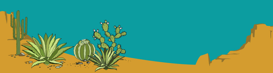 Mexico desert sunset. cactus desert background. Banner with earthy colors