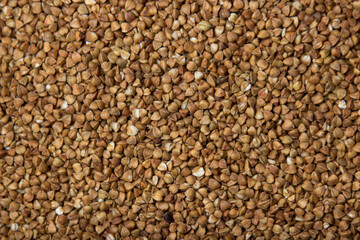 Buckwheat in full screen as a background for the image. Tasty and healthy food