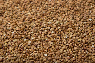 Buckwheat in full screen as a background for the image. Tasty and healthy food