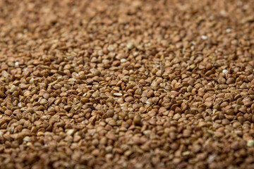 Buckwheat in full screen as a background for the image. Tasty and healthy food