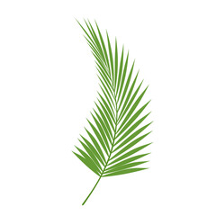 Tropical Leaf Illustration