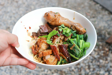 noodles or Chinese egg noodles or Chinese noodles or pork , chicken and duck noodles or noodles without soup