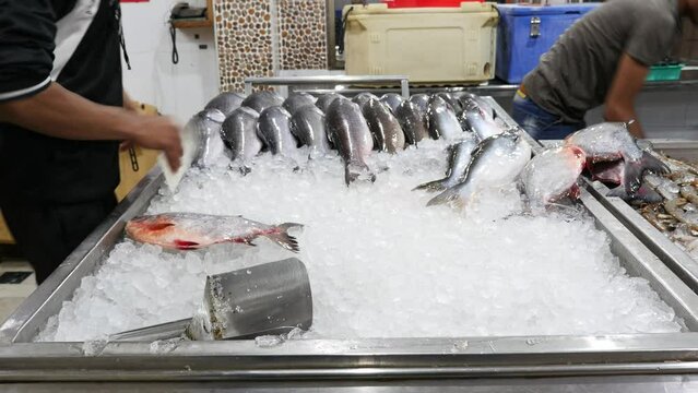 Closeup of fishes being arranged by workers in fish shop on ice rack