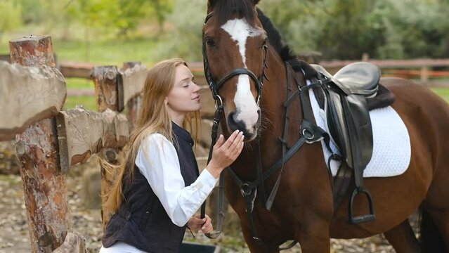 A young woman rider prepares a horse for a competition. Communication with your horse.