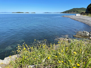 The coast of the island of Ricorda. on a sunny September day. Russia, Vladivostok