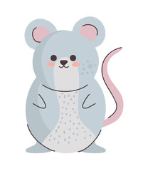 Obraz na płótnie Canvas cute mouse animal