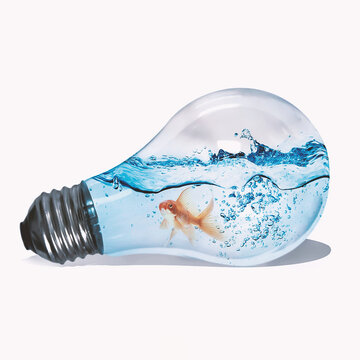 goldfish in light bulb