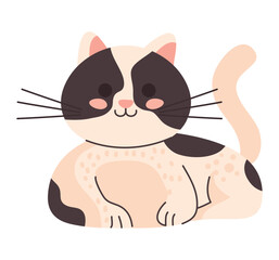 cute cat animal