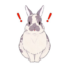 灰うさぎ　ブロークン　表情（驚く）