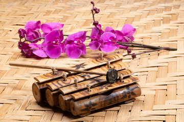 A traditional wooden xylophone a bamboo background.