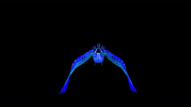 Blue Phoenix Bird - Flying Loop - Front View - Isolated 3D Animation with Alpha Channel