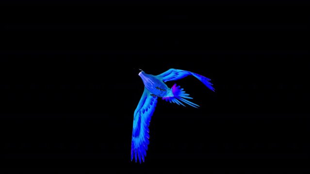 Blue Phoenix Bird - Flying Loop - Down Angle View - Alpha Channel - Isolated 3D Animation