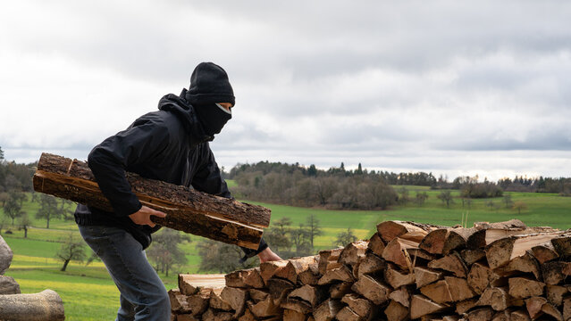Energiekrise in Deutschland - Holzdiebstahl - Dieb klaut aufgestapeltes Brennholz im Wald aufgrund von gestiegenen Heizkosten