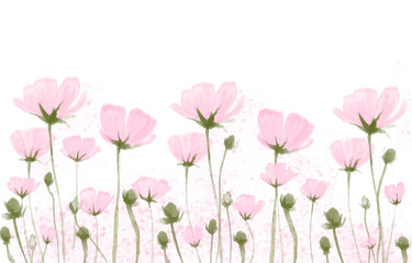 Flores rosa sin fondo