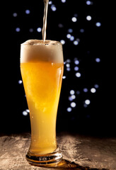 A cute Pembroke Welsh Corgi sits on a background of mountains and fog. Traveling with a dog.