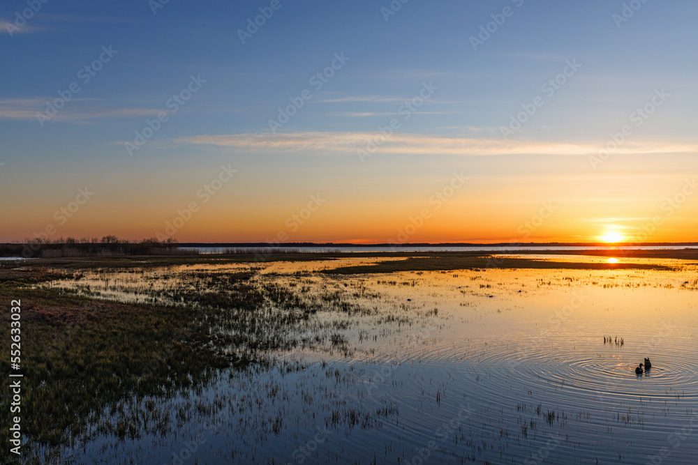 Sticker Sunset at a lake with birds in the water