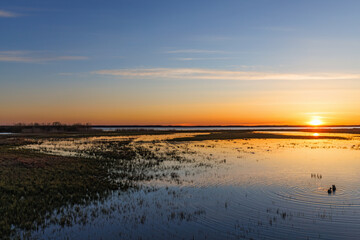 Sunset at a lake with birds in the water