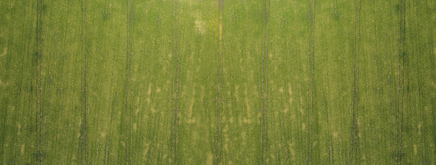 Aerial view of agricultural field	