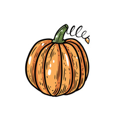 Hand drawn pumpkin sign vector art illustration.