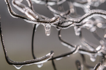 Frozen iron mesh fence, winter, ice, macro, december, january