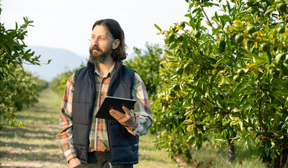 Farmer examines the garden of fruits and sends data to the cloud from the tablet. Smart farming and digital agriculture