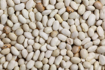 Background from white haricot bean beans. Texture from raw bean seeds. Healthy food concept.