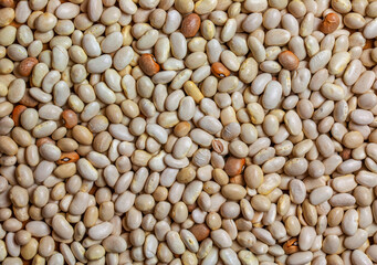 Background from white haricot bean beans. Texture from raw bean seeds. Healthy food concept.