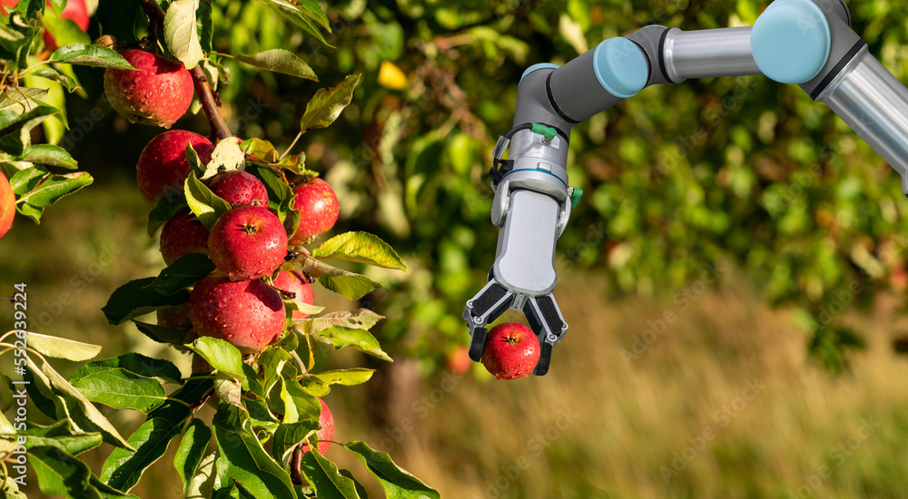 Poster robot arm is working in the smart farm. digital transformation of farming.