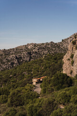 Fototapeta na wymiar Paisaje de montaña junto a pueblo blanco andaluz en la provincia de cadiz
