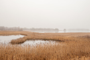 Foggy autumn morning in November at lake Sottern in county Närke, Sweden