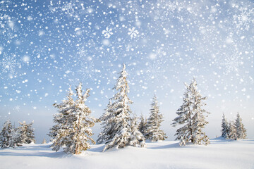 beautiful winter landscape with snowy fir trees