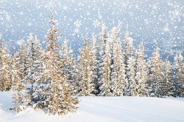beautiful winter landscape with snowy fir trees