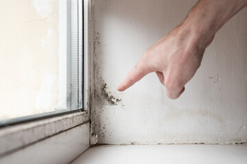 Man points his finger at fungus in the corner of the window Dangerous fungus that needs to be destroyed. The problem of ventilation