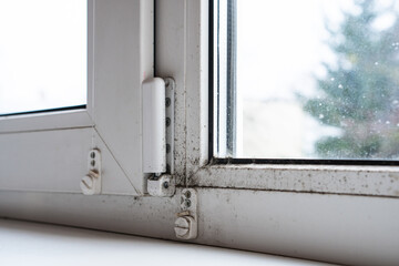 Mold on the window in the house. Mould spores thrive on moisture