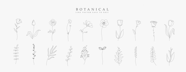 Botanical hand drawn vector set of plants element. Line collection of foliage, herbs, leaf branch, floral, flowers, roses, tulps, lily. Blossom illustration design for logo, wedding, invitation, decor