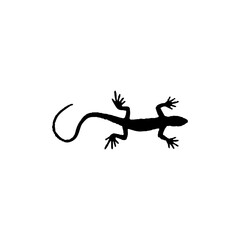 Gecko icon. Simple style reptiles info poster background symbol. Gecko brand logo design element. Gecko t-shirt printing. vector for sticker.