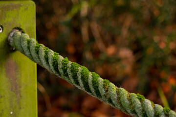 A close-up of old rope slowly being covered with moss and plants. High quality photo