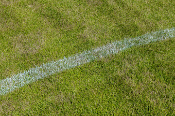 Grass on the soccer field - 552644440