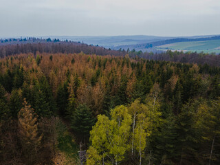 Herbstwald mit der Drohne