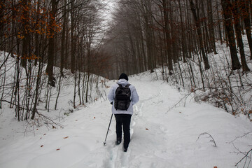 hiker walking in the snow in the forest