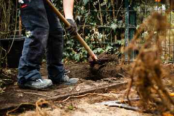 Fototapeta premium Gartenbau 