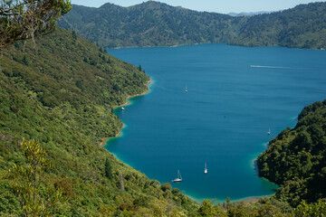 Fototapeta na wymiar View from Queen Charlotte Track down to beautiful bay