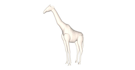 white background Gold Giraffe vector design