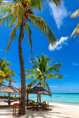Fototapeta na wymiar Beach cafe on sandy beach undet palm trees and beautiful sea on exotic tropical island. 