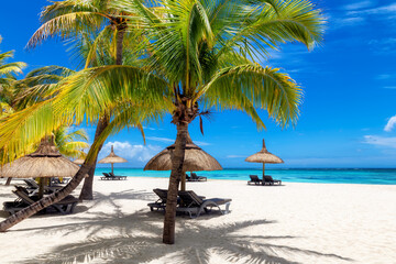 Palm trees in tropical beach and straw umbrellas and tropical sea in Paradise Mauritius island.	