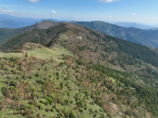 中津明神山山頂　天空の林道