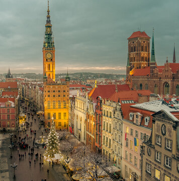 Christmas tree in 
 Gdansk