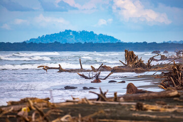 Caribbean beach in Costa Rica full of broken branches and trees washed ashore; Caribbean beach after hurricane; powerful storm on beach