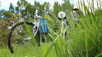 stary rower z ozdobami ustawionymi jako ozdoba z ogrodu