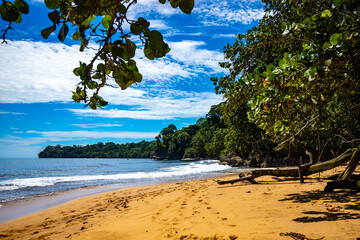 panorama of paradise beach on the Caribbean coast of Costa Rica, tropical beach with palm trees, beach vacation in Costa Rica at Refugio Nacional Gandoca-Manzanillo and cahuita